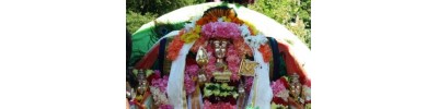 வடஅமெரிக்கா
